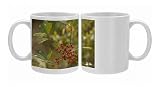 ROG-12096 Dahoon holly with berries Photo Mugs