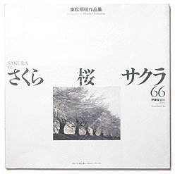 さくら・桜・サクラ66―東松照明作品集