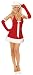 Sexy Santa’s Honey Costume
