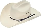 Bailey Western Men's Carmine Hat