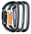 Petzl AM'D Screw-Lock Carabiner