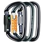 Petzl Am'D Locking Carabiner - Screw-Lock, Ball-Lock, Triact-Lock