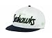 NFL Seattle Seahawks NFL Team Script 9Fifty