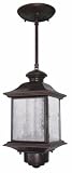 Heath/Zenith SL-4350-AZ-B 360-Degree Motion-Activated Decorative Pendant Light, Antique Bronze
