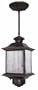 Heath/Zenith SL-4350-AZ-B 360-Degree Motion-Activated Decorative Pendant Light, Antique Bronze