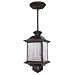 Heath/Zenith SL-4350-AZ-B 360-Degree Motion-Activated Decorative Pendant Light, Antique Bronze