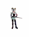 DC Direct Batman: Arkham Asylum Series 1: Harley Quinn Action Figure