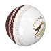Slazenger Crown Cricket Ball Red 4 3/4