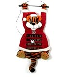 Cincinnati Bengals Advent Calendar