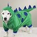 Casual Canine Dogzilla Dinosaur Costume - MEDIUM