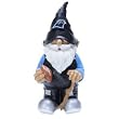 Carolina Panthers Team Gnome - NFL Football
