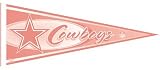 Dallas Cowboys Pink Football Pennant