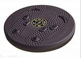 Golds Gym Magnetic Twist Board