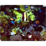 TROPICAL FISH Mouse Mat / Pad