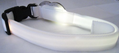 Image #5 of White Nylon Webbing