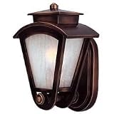 11-1/4-Inch Outdoor Wall Light