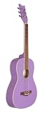 Daisy Rock Debutante Jr. Miss Acoustic Short Scale Popsicle Purple Guitar