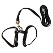 Marshall Pet Ferret Harness/Lead Set Black