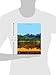 Environmental and Pollution Science