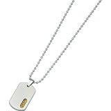 Titanium 24K Gold Plated Dog Tag Mens Necklace 22