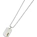 31BqgnnFhWL. SL75  Stainless Steel Dog Tag Pendant with Diamond Accent and 14k Gold, 22