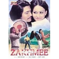 Zakhmee [DVD] [Region 1] [US Import] [NTSC]