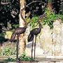 Brass Baron Large Non-Fountain Crane Pair