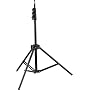 Westcott 750 Photo Basics 7.0-Foot Light Stand