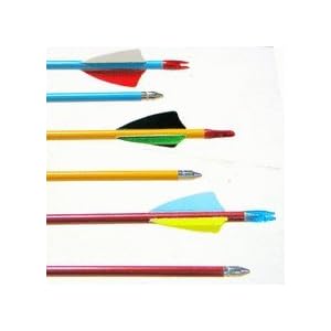 Buy Economy Cedar Wood Arrows (Pack of 12) from Cajun Archery