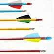 Economy Cedar Wood Arrows (Pack of 12) from Cajun Archery