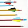 Economy Cedar Wood Arrows (Pack of 12) from Cajun Archery