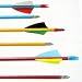 Economy Cedar Wood Arrows (Pack of 12) from Cajun Archery