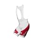 Descente Men's Cycling Slipstream Bib Short, White/Bright Red, Large