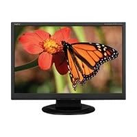 NEC AccuSync LCD224WXM-BK - Flat panel display - TFT - 22 - widescreen - 1680 x 1050 75 Hz... by NEC