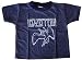 LED ZEPPELIN - Swan Logo - Black Toddler T-shirt