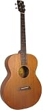 Ashbury AT-24 Tenor Guitar