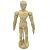 Art Mannequin
