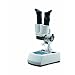 National Optical 400TBL-10-2 Stereo Microscope with Vertical Head, 10x Eyepiece, 2x Objective, Natural Light Source, 20x Magnification