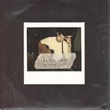 BUTTERFLY 7" (45)