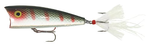 Rebel Magnum Pop-R Fishing Lure