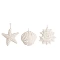 Seashells Ornament - Assorted