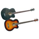 Acoustic Bass Guitars