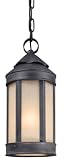 Anderson's Forge Outdoor Pendant Light - 7 inches wide