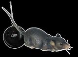 Natural History Museum Flipping Remote Control Rat - The Ultimate Gift for Christmas