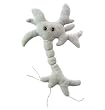 Giant Microbes - Brain Cell (Neuron) Educational Plush Toy