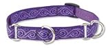 Lupine Medium Martingale Style Dog Collar - Jelly Roll 10-14