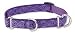 Lupine Medium Martingale Style Dog Collar - Jelly Roll 10-14