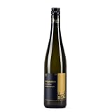 2009 Gr.Veltliner Heiligenstein - Hirsch 0.75 Litervon "Weingut Hirsch"