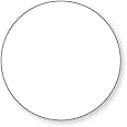 DayMark IT112435 DuraMark Circle Permanent Label, 1" Diameter, White (Roll of 1000)