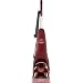 BISSELL Quicksteamer PowerBrush Multi Surface Deep Cleaner, 20803